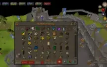 Vendo osrs iron Man!