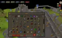 Vendo osrs iron Man!