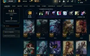 Unranked com 55 Champs e 20 Skins