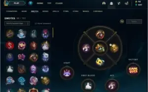 Conta lol d3 rammus king