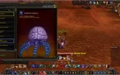 World Of Warcraft Pvp 1.8k war arms, new season. rare mounts