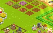 Conta Hay Day lvl 80