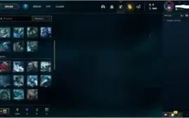 CONTA PLATINA 3 29 CHAMPS