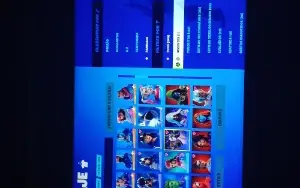 Conta de Fortnite com 245 (Incluindo Raras)