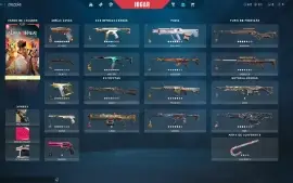 Conta Valorant Gasto Mais de 2k com Várias Skins e Facas