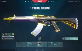Conta Valorant Gasto Mais de 2k com Várias Skins e Facas
