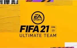 F I F A 21 Coins PC 100k