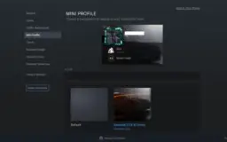 Conta Steam LVL 43 Com Muitos Jogos e Itens Raros