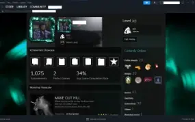 Conta Steam LVL 43 Com Muitos Jogos e Itens Raros