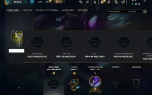 Unranked com 30 Champs e 2 Skins