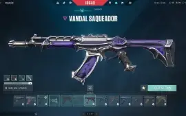 Conta Valorant com todos os agentes, com varias skins