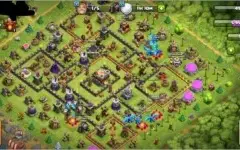 Cv11 recente