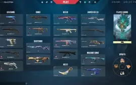 Conta Ex Imortal 3 (2500 Reais Gastos)