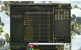Dofus IOP Level 200 (Omega 16) Full SET e 6mk.