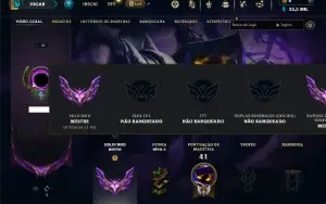 Mestre com 31 Champs e 1 Skin + 14 Fragmentos