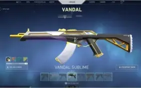 Conta Valorant Muitas Skins (Acompanha conta LOL)
