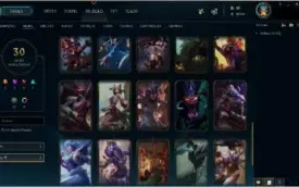 Conta League of Legends . Main  AD Carry.