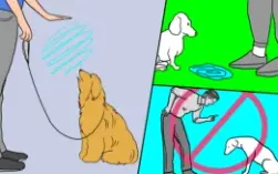 Pack CRIATIVOS | Temas diversos: Vendas, Pets e muito mais!