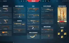 Conta valorant com muitas skins compradas+6 passes completos