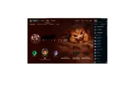 Conta com varios champs e skins