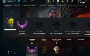 Mestre com 30 Champs e 2 Skins + 8 Fragmentos