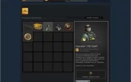 CS:GO Prime Medalha de 5 10 anos 17 Anos Steam Patente Prime