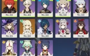 (PC/MOBILE) GENSHIN IMPACT - NA - DILUC -  AR30