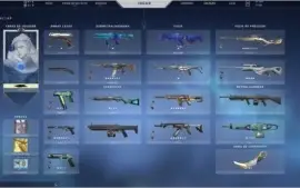 Conta valorant o2 principais skins !