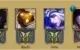 Platina Solo/Duo Gold Flex