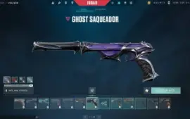 conta valorant + LOL cheia de skin unico dono