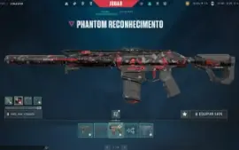 conta valorant + LOL cheia de skin unico dono