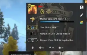 CS:GO|GLOBAL|MEDALHA DE LEALDADE E SERVIÇO 2021|OVERWATCH