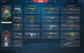 Conta Valorant Full Acesso Unico Dono - Mais De 2K Gastos