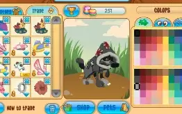 Conta animal jam 2017/2018