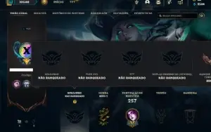 Unranked com 85 Champs e 28 Skins