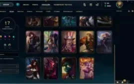 conta Platina 1 63 champ