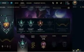 conta Platina 1 63 champ