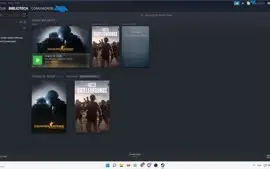 Steam Prime com CSGO + Medalhas
