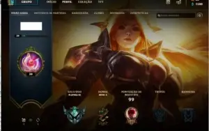 CONTA PLATINA / SKIN COM BORDA EXCLUSIVA