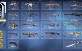 Conta com skins de lol e valorant 5k gastos no total