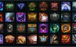 Conta Platina 1 - 77 champs
