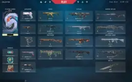 Conta Valorant lvl150~ (R$2900 Em historico)
