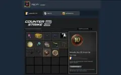 ✅Conta Antiga Steam 18/19 Anos 💥(Com Cs2 Prime)💥