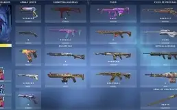 Conta Valorant RGX Katana e Vandal / Muitas skins!