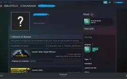 CONTA STEAM COM 18 ANOS + MEDALHAS 5 E 10 ANOS DE SERVIÇO