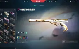Conta valorant Level 270 mais skins