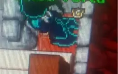Tibia Royal Paladin level 323