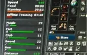 Tibia Royal Paladin level 323