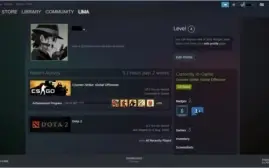 CS:GO PRIME | 1 MEDALHA | ÁGUIA 2 | LV 4 STEAM