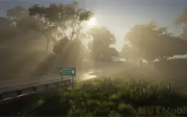Natural Vision Evolved (nve) - GTA V